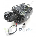 Moteur LIFAN 110cc Automatique Démarreur électrique bas Moteur LIFAN 110cc Automatique Démarreur électrique bas