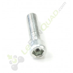 Vis CHC M8x30
