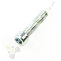 Vis CHC M6x25