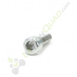 Vis CHC M5x16
