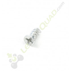 Vis TFC M4x10