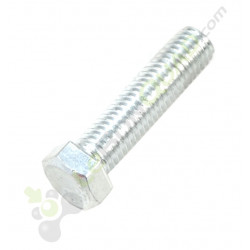 Vis M10x40