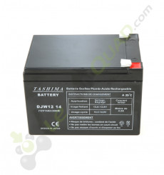 Batterie DJW 12V14Ah de quad et moto électrique