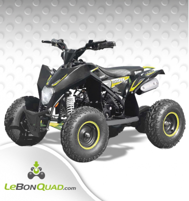 https://www.lebonquad.com/17048-thickbox_default/quad-enfant-lbq-fenix-110-jaune.jpg
