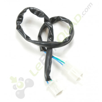 Faisceau de feu arrière de Quad E-MKT