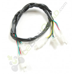 Faisceau de boitier de coupure à distance de Quad E-MKT