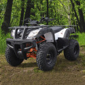 Quad 150cc KAYO 3+1 AU150 Quad 150cc KAYO 3+1 AU150