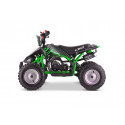 Pocket Quad 50cc enfant LBQ Speedy BW6 VERT