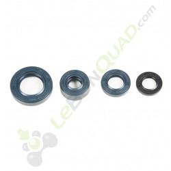 Joints SPI moteur LIFAN