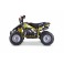 Quad pocket LBQ Speedy 49cc BW6 édition ROCKSTAR