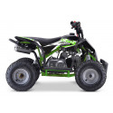 Quad 110cc enfant LBQ Fenix VERT