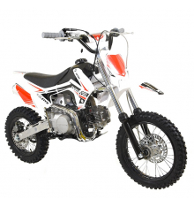 Pit Bike 125cc BASTOS BS FIRST - édition 2023
