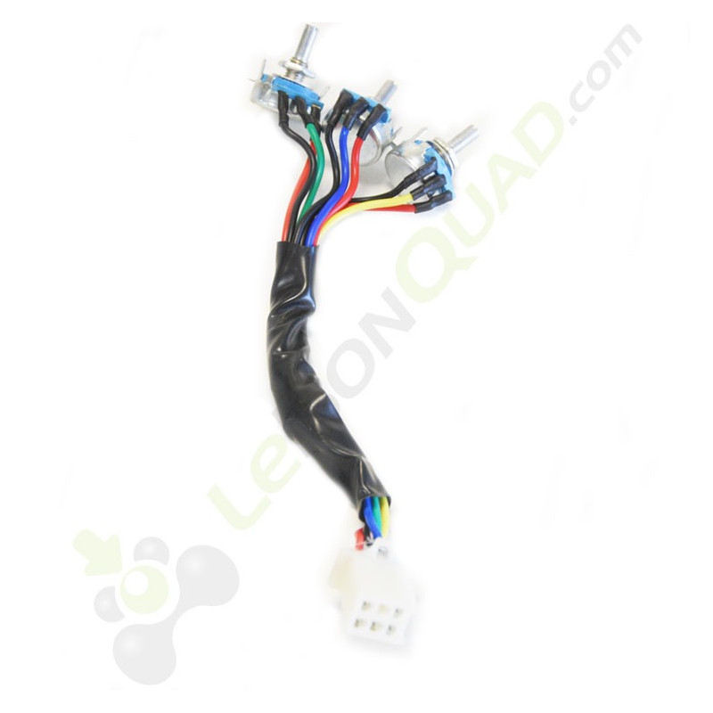 Boutons potentiomètre de pit bike électrique E-STORM