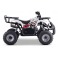 Quad 125cc enfant LBQ Toronto ROUGE