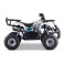 Quad 125cc enfant LBQ Toronto BLEU