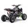 Quad 125cc enfant LBQ Panthera MONSTER ENERGY