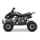 Quad 125cc enfant LBQ Panthera MONSTER ENERGY