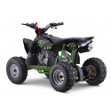 Quad 110cc enfant LBQ Fenix MONSTER ENERGY Quad 110cc enfant LBQ Fenix MONSTER ENERGY