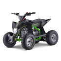 Quad 110cc enfant LBQ Fenix MONSTER ENERGY Quad 110cc enfant LBQ Fenix MONSTER ENERGY