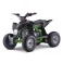 Quad 110cc enfant LBQ Fenix MONSTER ENERGY