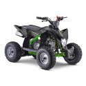 Quad 110cc enfant LBQ Fenix MONSTER ENERGY Quad 110cc enfant LBQ Fenix MONSTER ENERGY