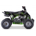 Quad 110cc enfant LBQ Fenix MONSTER ENERGY Quad 110cc enfant LBQ Fenix MONSTER ENERGY