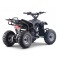 Quad 110cc enfant LBQ Razor MONSTER ENERGY