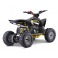 Quad 110cc enfant LBQ Fenix ROCKSTAR