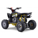 Quad 110cc enfant LBQ Fenix ROCKSTAR Quad 110cc enfant LBQ Fenix ROCKSTAR