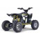 Quad électrique 1000W enfant LBQ E-Fenix ROCKSTAR