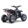 Quad 110cc enfant LBQ Razor ROCKSTAR