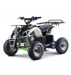 Quad 110cc enfant LBQ Toronto MONSTER ENERGY