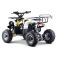 Quad 110cc enfant LBQ Toronto ROCKSTAR