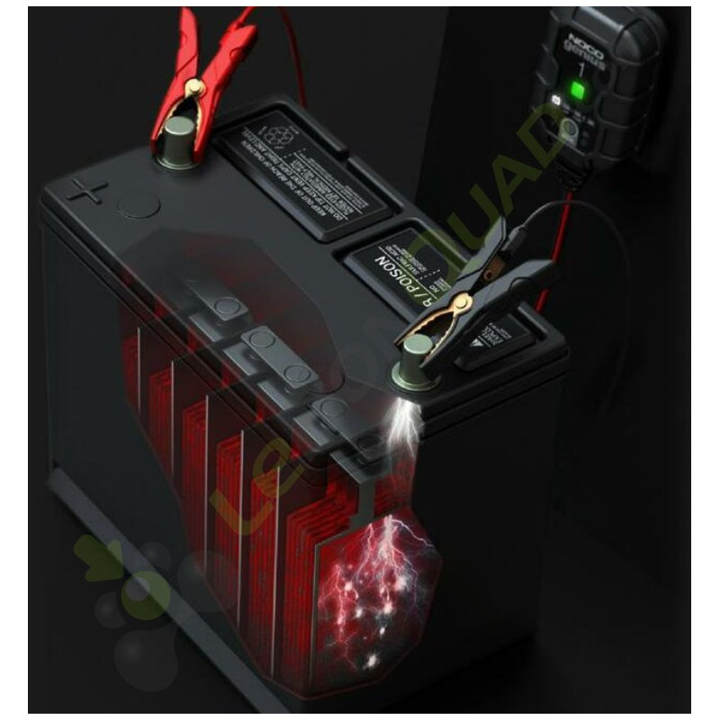 Chargeur de batterie intelligent NOCO Genius1 6/12V 1A