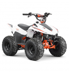 Quad enfant thermique 50cc 2t - EuroImportMoto