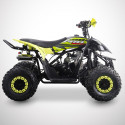 Quad enfant 110cc JAUNE-VERT PROBIKE Quad enfant 110cc JAUNE-VERT PROBIKE