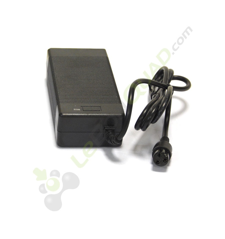 Chargeur de batterie de Pocket quad électrique