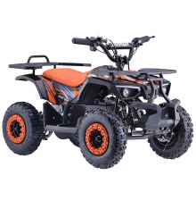 Pocket quad électrique 800w Orange Rino Diamon