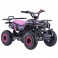 Pocket quad 49cc Rose Rino Diamon