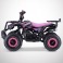 Pocket quad 49cc Rose Rino Diamon