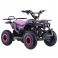 Pocket quad électrique 800w Rose Rino Diamon