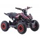 Pocket quad 49cc Rouge Flip Diamon