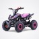 Pocket quad 49cc Rose Flip Diamon