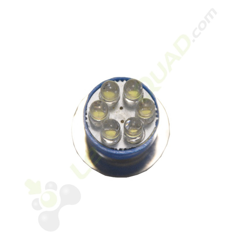 Ampoule LED 36V
