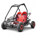 Buggy 110cc 2 places NOIR pour enfant Buggy 110cc 2 places NOIR pour enfant
