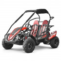 Buggy 212cc 2 places BLAZER ROUGE Buggy 212cc 2 places BLAZER ROUGE