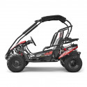 Buggy 212cc 2 places BLAZER ROUGE Buggy 212cc 2 places BLAZER ROUGE