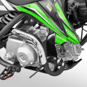 Pit bike 70cc XTRM 81 VERT Pit bike 70cc XTRM 81 VERT