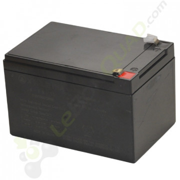 Batterie 12V-10Ah pour voiture électrique enfant
