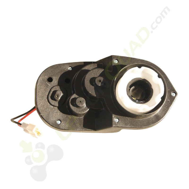 Moteur électrique arrière droit CAN AM MAVERICK 24V